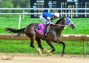 racehorse, Copper Tax winning The First State Dash at Delaware Park on 9/27/23