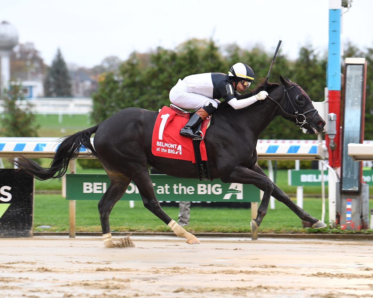 El Grande O wins The Sleepy Hollow