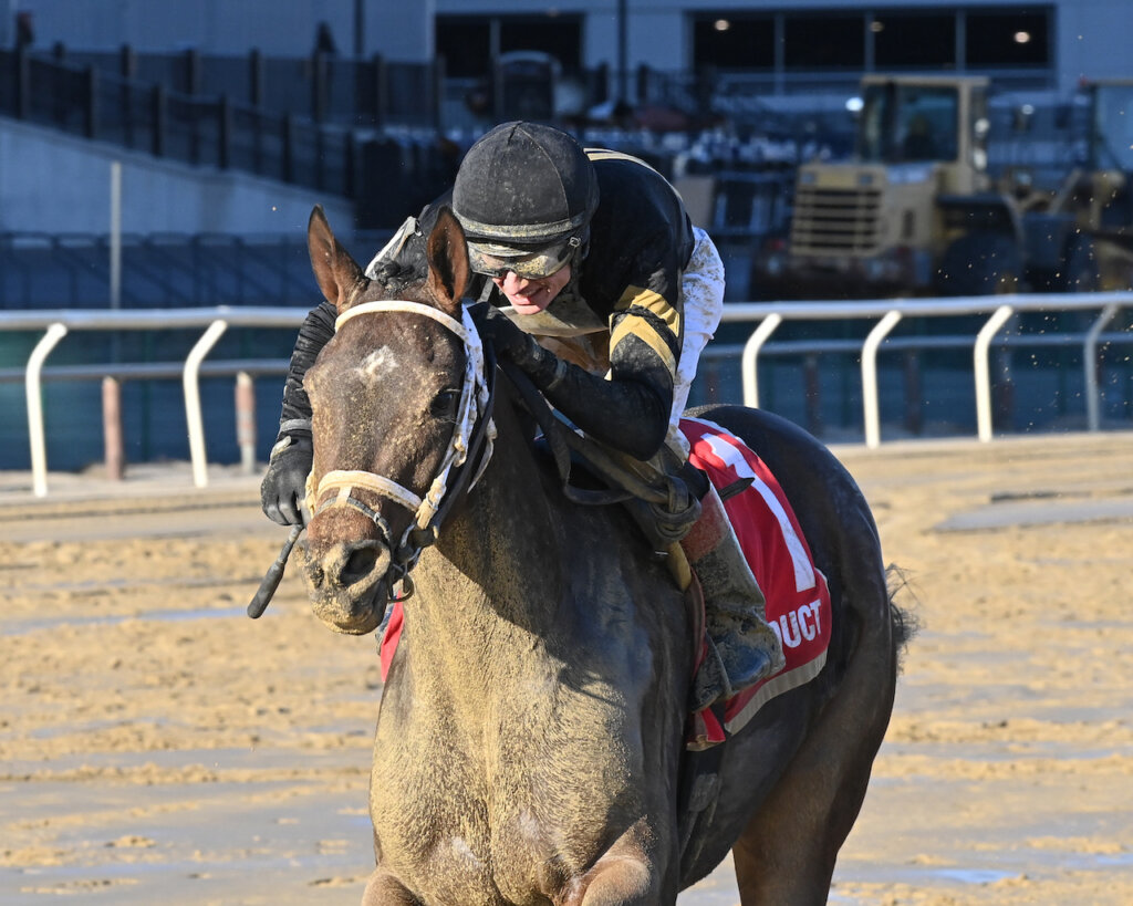 Gin GIn wins the Busanda at Aqueduct