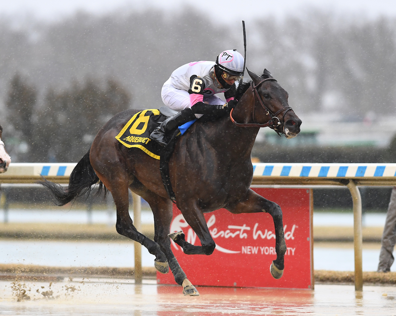 Jody's Pride wins The Busher at Aqueduct