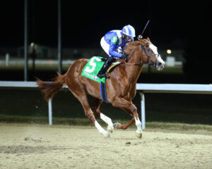 Katheeb wins at Turfway Park