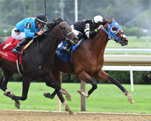 Le Dom Bro at Saratoga 