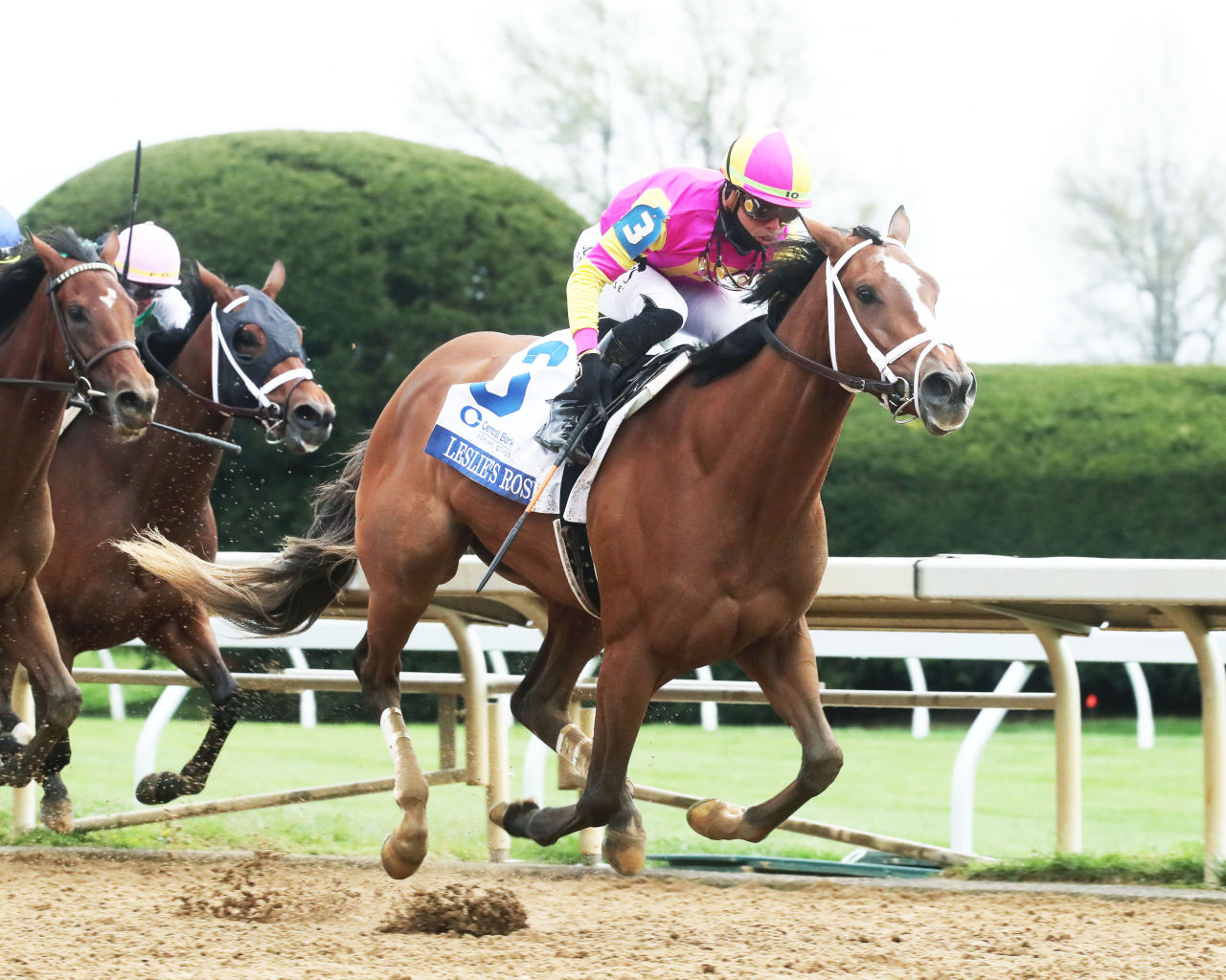 Leslie's Rose wins the Ashland