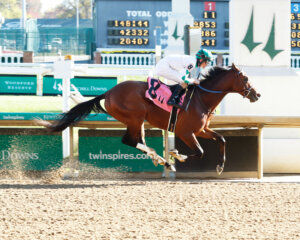 Mystik Dan at Churchill Downs 