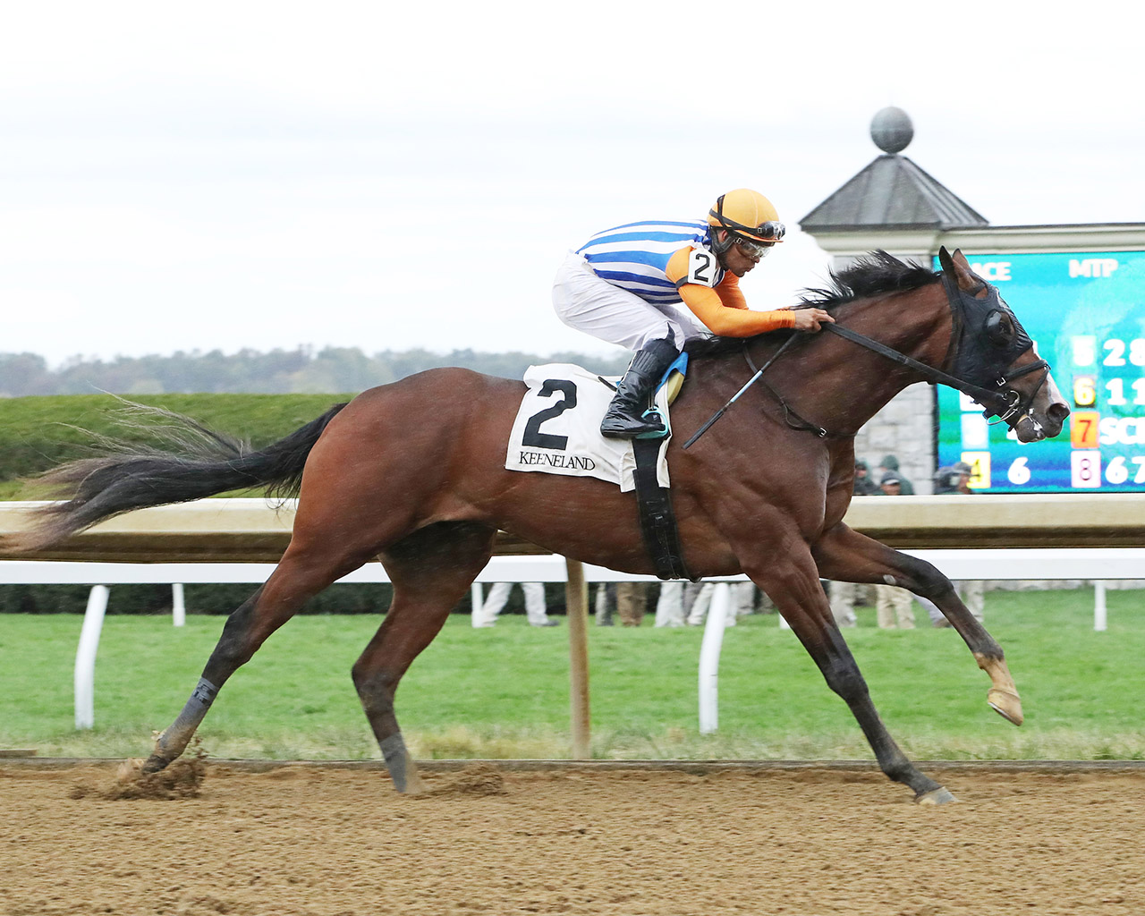 Dornoch breaking his maiden at Keeneland (Photo by Keeneland Photos)