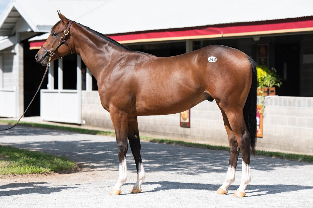 Track Phantom at the Keeneland September Yearling Sale